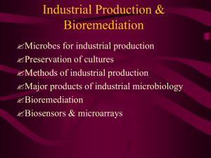 Industrial Production & Bioremediation