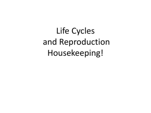 Life Cycles and Reproduction Housekeeping! - Emery