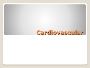 Cardiovascular System Notes