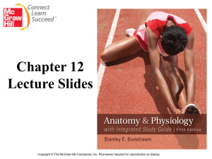 chapt12_lectureanimation_5e - Body-Health-and