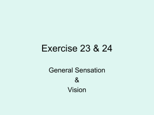 Exercise 23 - 24