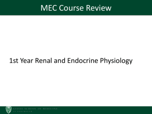 Physiology II Course Review