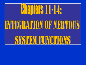Chapter 11- 14 Integration of Nervous System