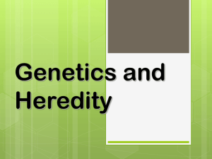 Genetics and Heredity - Pleasantville High School