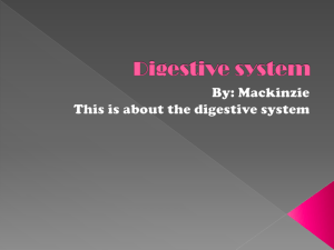 Digestive system - wileystudentwiki