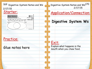 The Human Body: The Excretory System