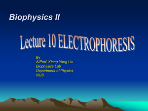 Electrophoresis - Department of Physics