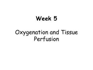 Week 5 Oxygenation and Tissue Perfusion