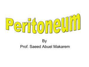 23-Peritoneum