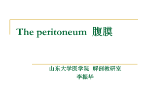 Peritoneum - 山东大学医学院人体解剖学教研室