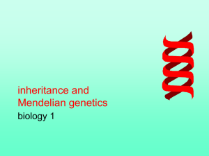 inheritance and Mendelian genetics