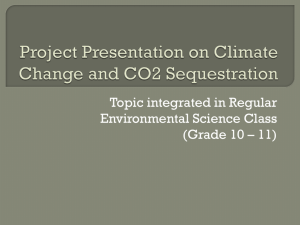 Project Presentation in Climate Change and CO2 Sequestration