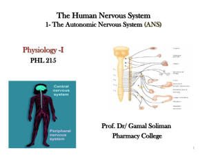 The Human Nervous System 1- The Autonomic Nervous System