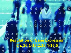 Regulation of Gene Expression (website)