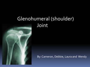 Glenohumeral (shoulder) Joint