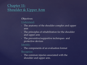 Chapter 11: Shoulder & Upper Arm