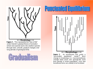 Gradualism-Punctuated Equilibrium
