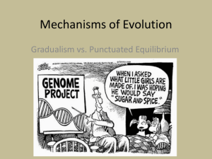Mechanisms of Evolution - Sterlingmontessoriscience