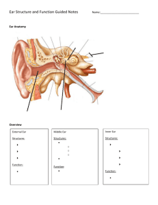 Ear Structure and Function Guided Notes Name: Ear Anatomy