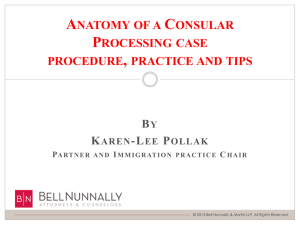 Anatomy of a Consular Processing Case