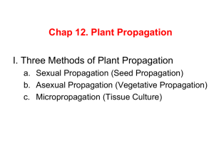 chap 12-propagation