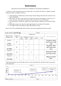 Beach transects - instruction and record sheet