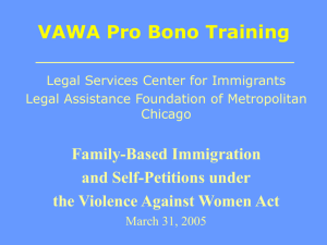 VAWA Pro Bono Training