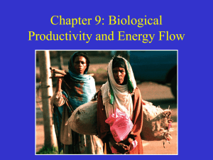 Chapter 9: Biological Productivity and Energy Flow