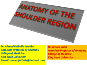09 Anatomy of Shoulder region