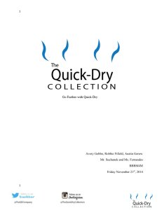 Click to View our Business Plan - The QuickDry Collection
