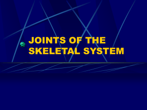 joints of the skeletal system