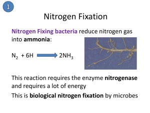 Nitrogen-Cycle-info-cards