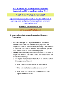 Learning Team Instructions:Organizational Structure Presentation