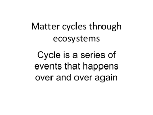 Matter cycles through ecosystems