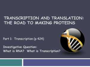 Transcription transcription