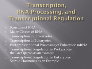 Transcription, RNA Processing, and Transcriptional Regulation