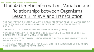 Lesson 3 mRNA and Transcription DONE
