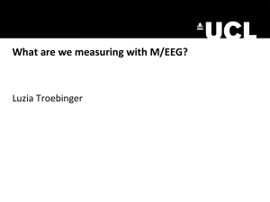 What are we measuring with M/EEG?