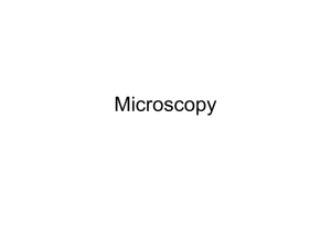 Microscopy - Orange Coast College