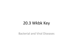 20.3 Wkbk Key - OG
