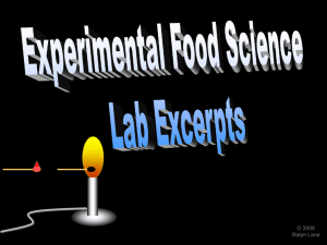 Experimental Food Virtual Lab Excerpt