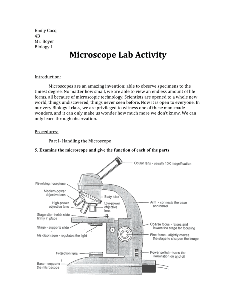 biology microscope lab worksheet