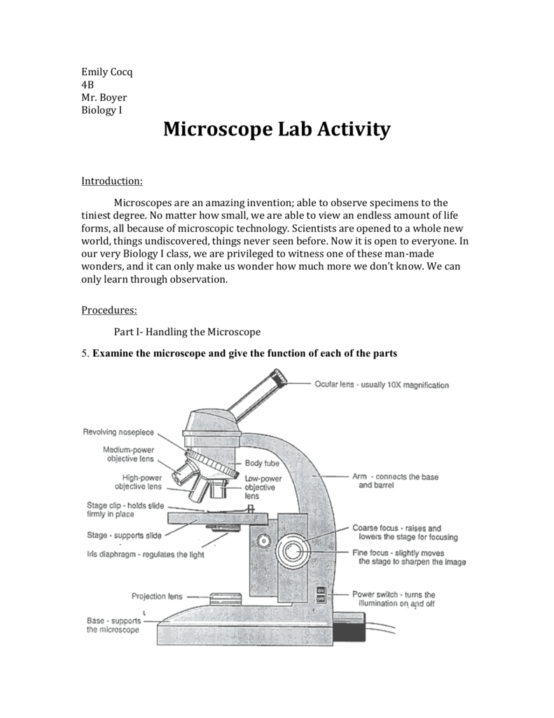 Activity Worksheet About Microscope