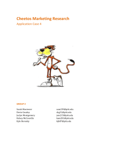 Cheetos Marketing Research
