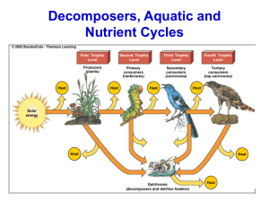 Decomposers, Aquatic and Nutrient Cycles