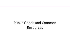 Public Goods - (powerpoint only)