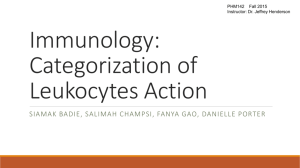 Leukocyte categories