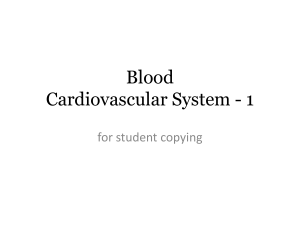 Blood Cardiovascular System
