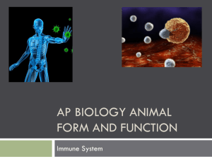 AP Biology Animal Form and Function Immune System ppt.