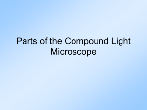 Parts of the Compound Light MIcroscope